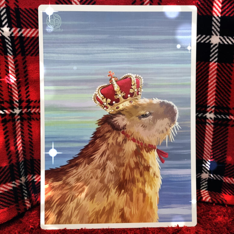Capyqueen ☆ A5 R$10
